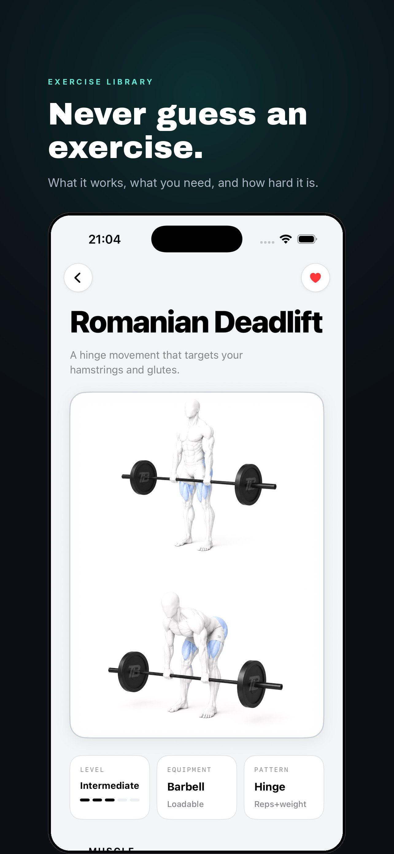 Romanian Deadlift detail page with two rendered positions and the working muscles highlighted