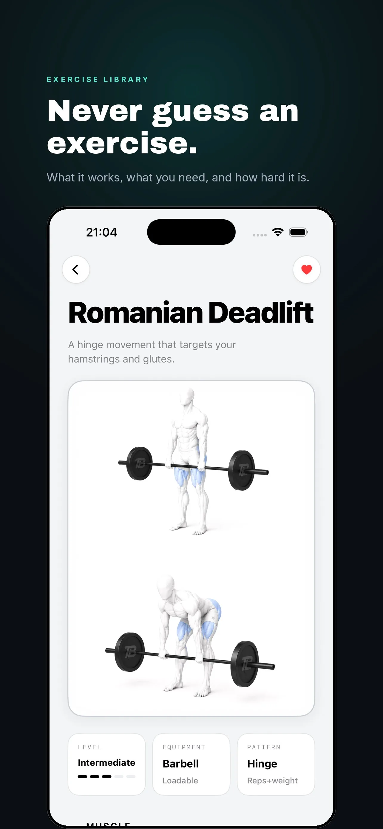 Romanian Deadlift detail page with two rendered positions and the working muscles highlighted