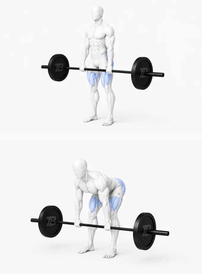 Romanian Deadlift render